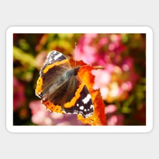 Red Admiral Butterfly Sticker